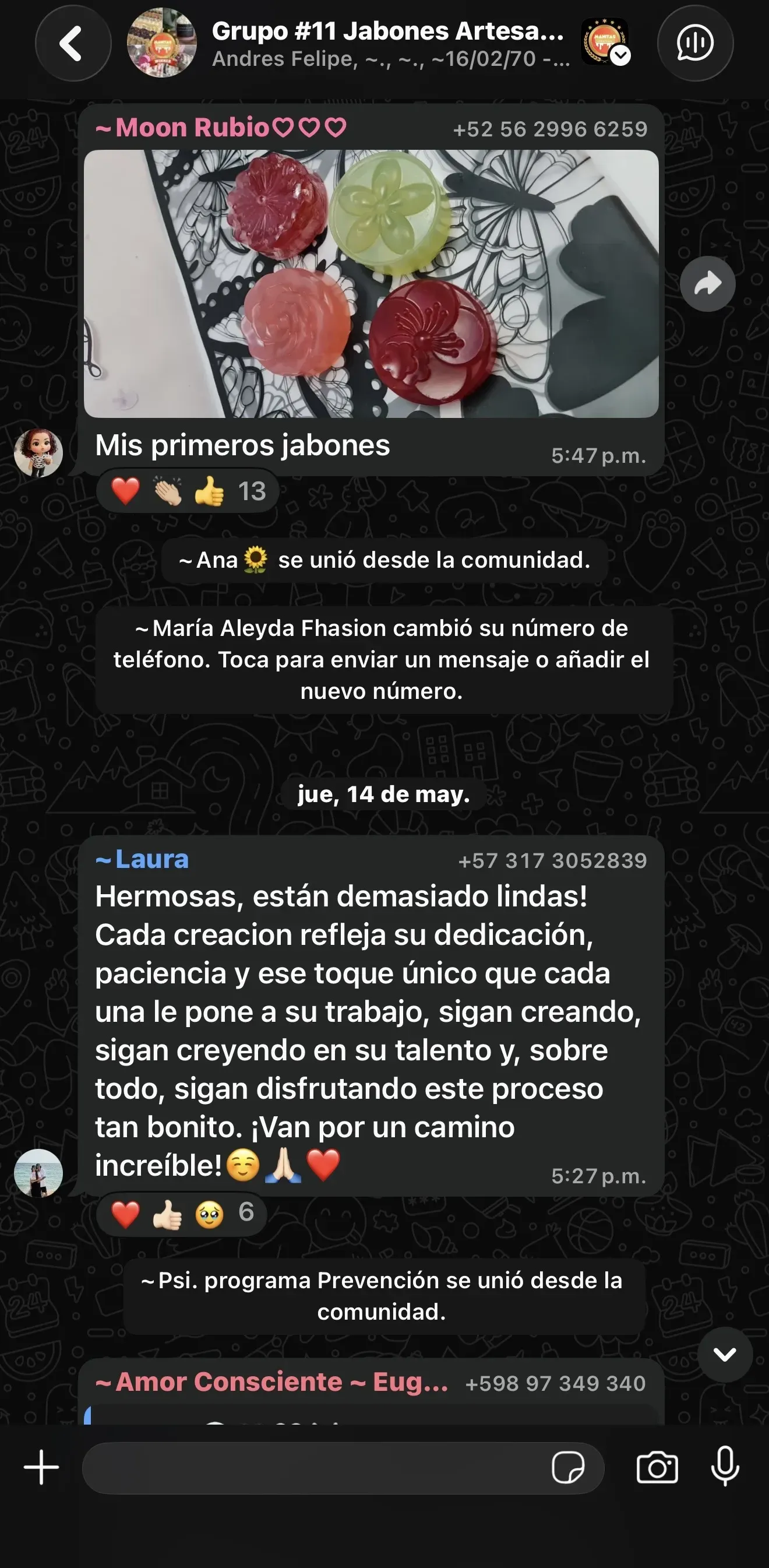 Testimonio de estudiante 15